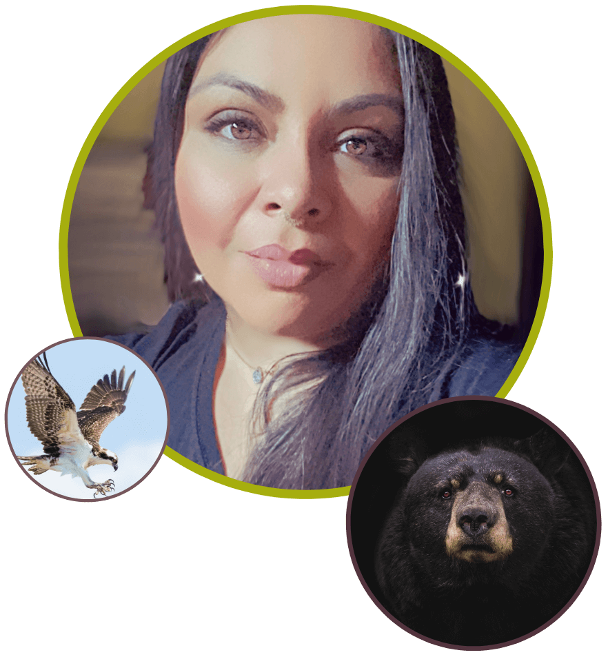 ixchel lara collage- showing hawk and black bear